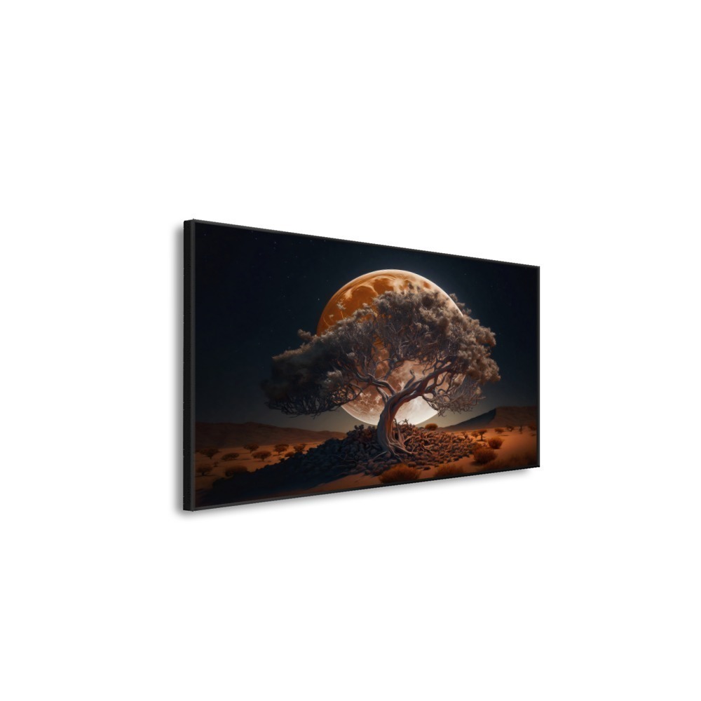 Vista 5