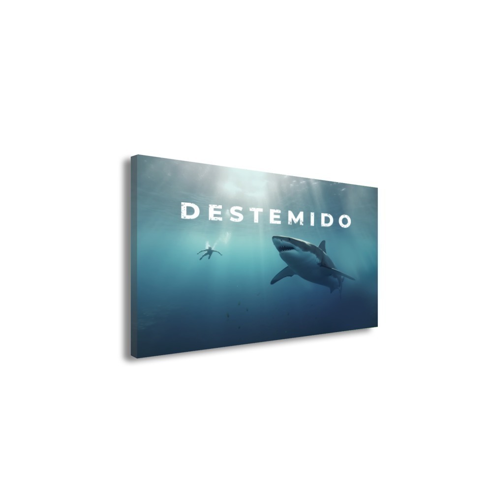 Vista 2
