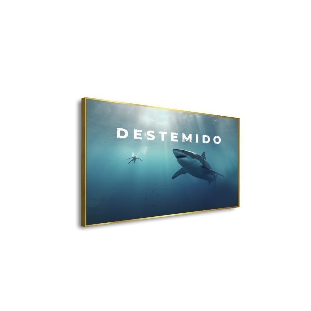 Vista 4