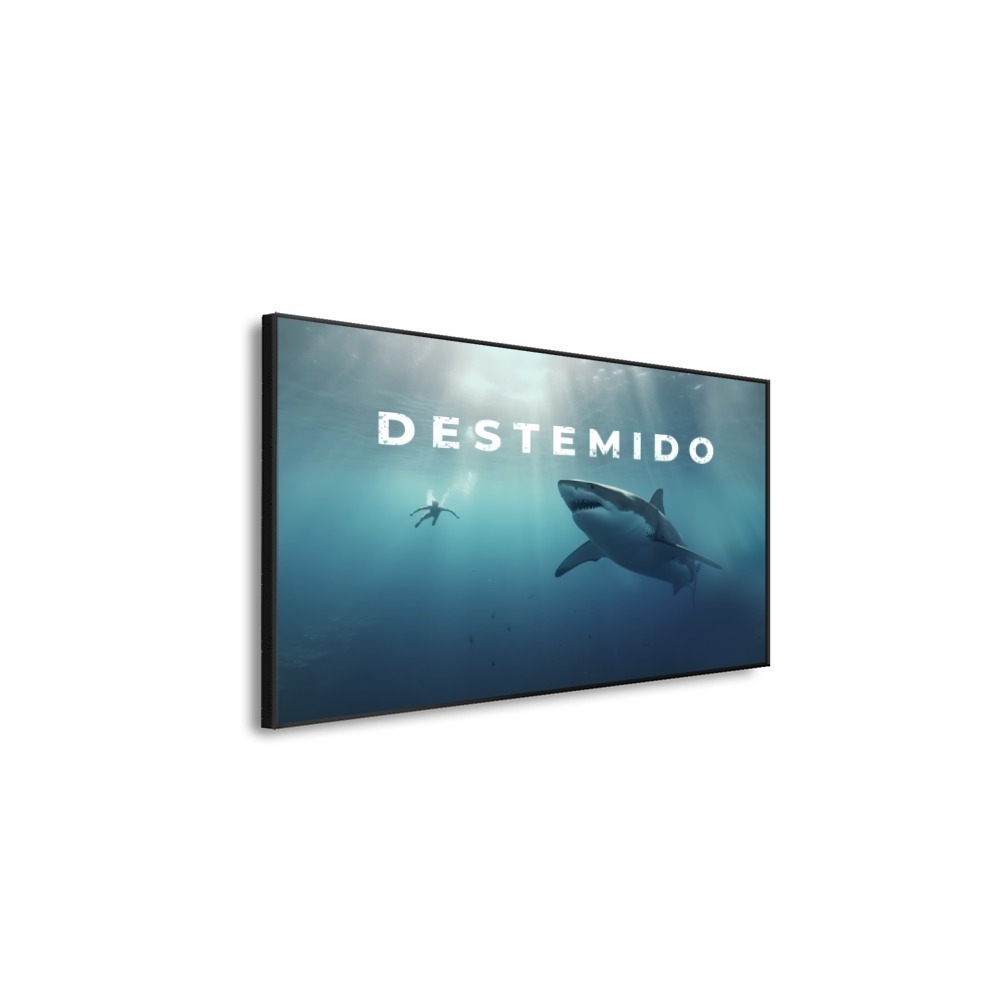 Vista 5