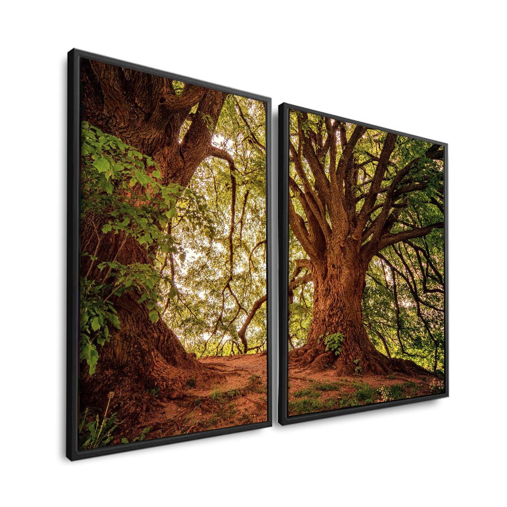 Vista 4