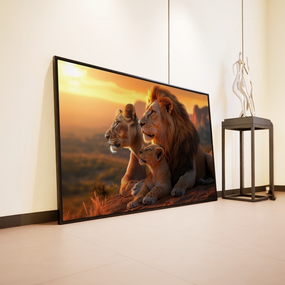Vista 5