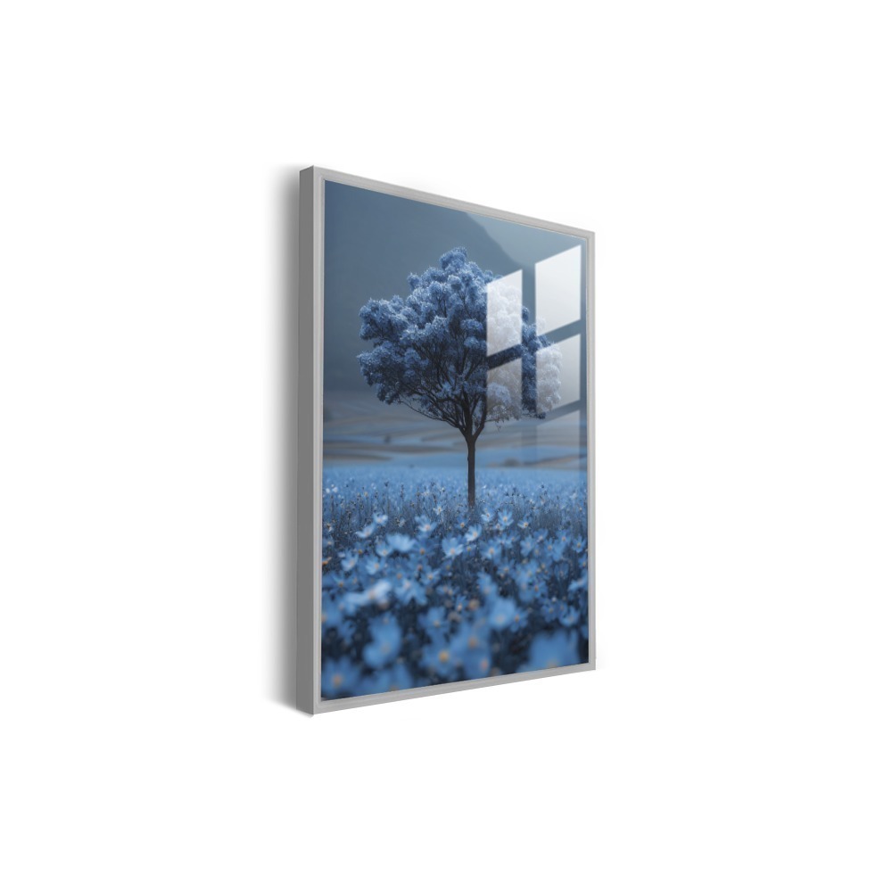 Vista 6