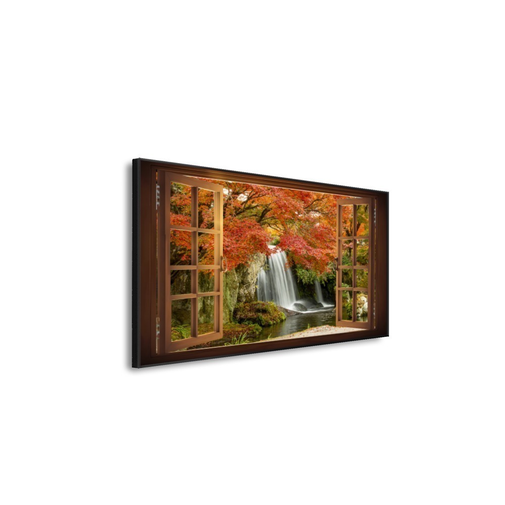 Vista 5