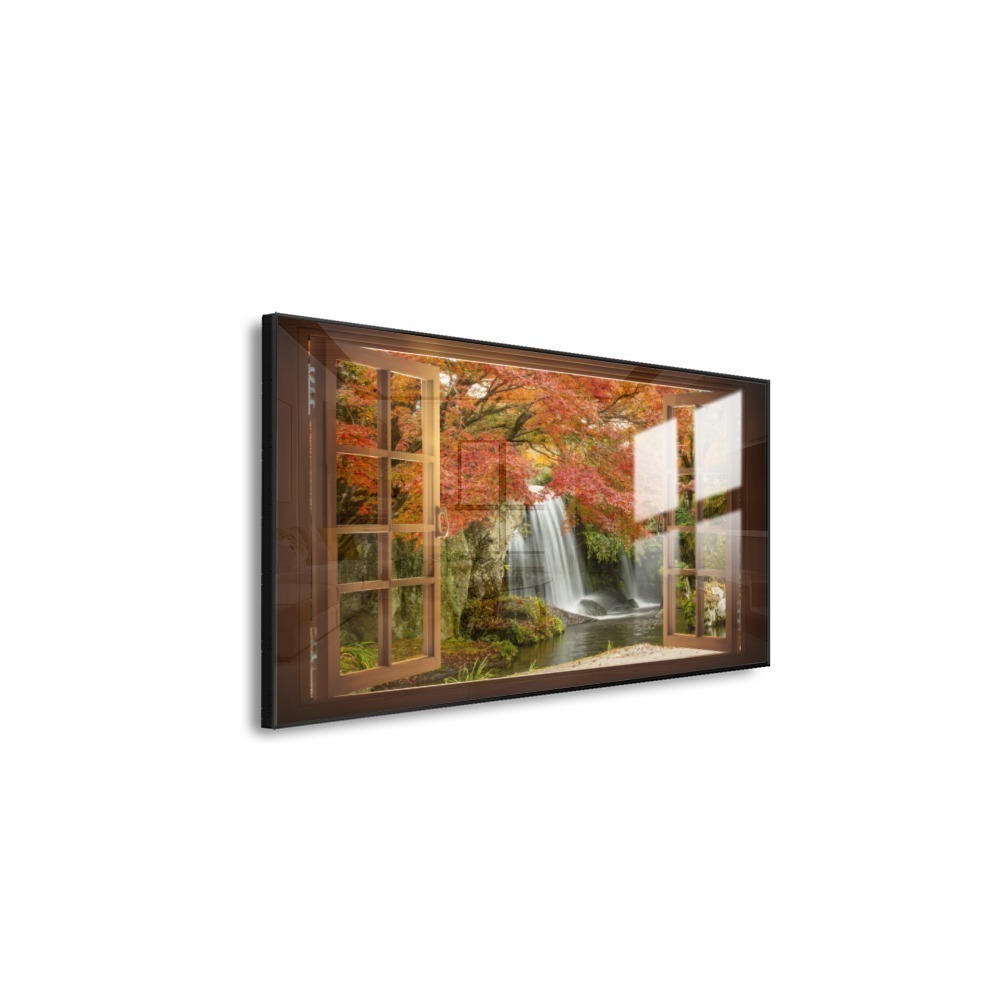 Vista 6