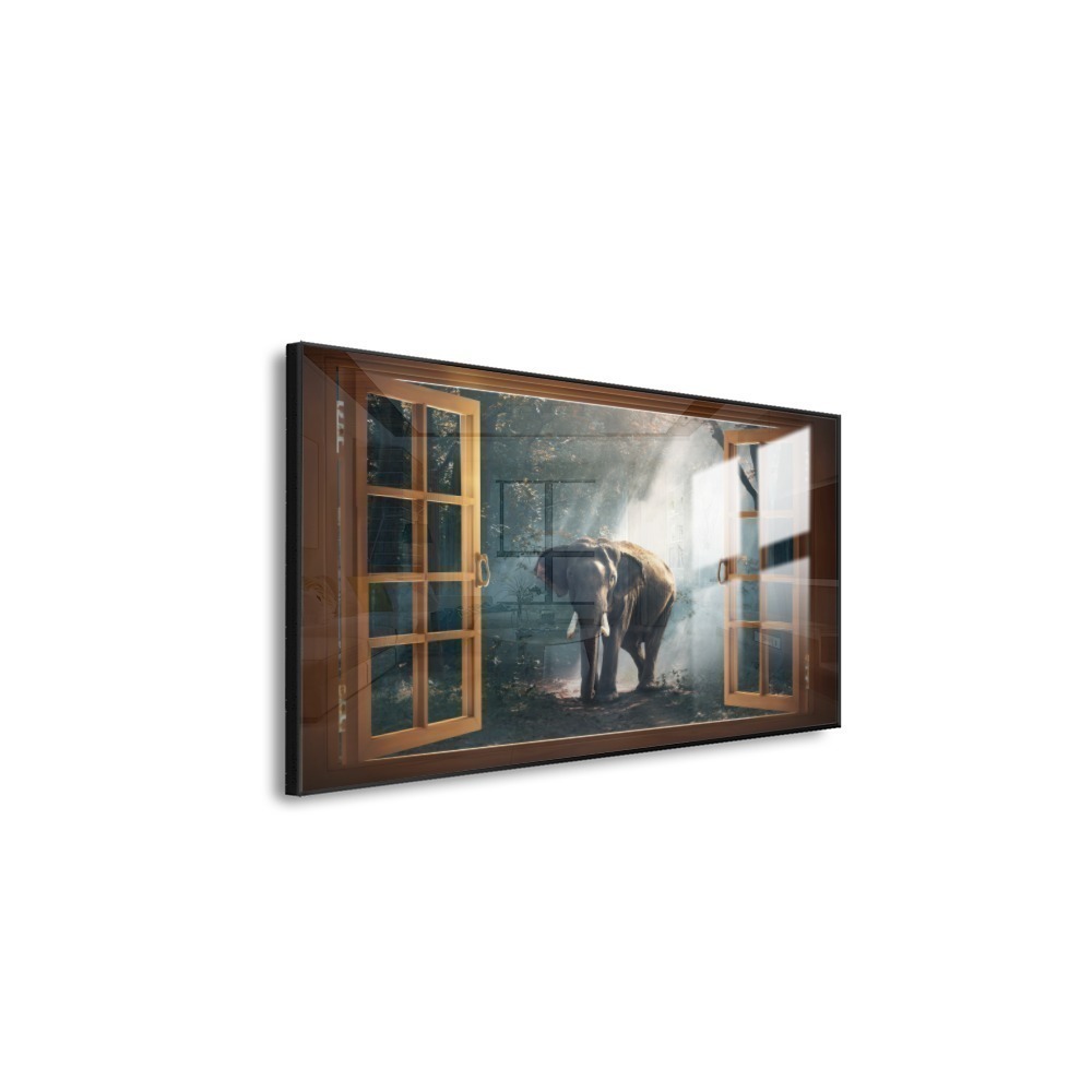 Vista 6