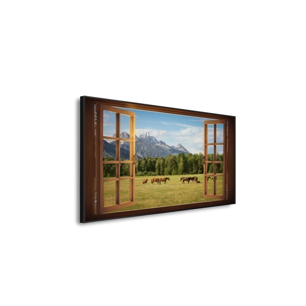 Vista 6
