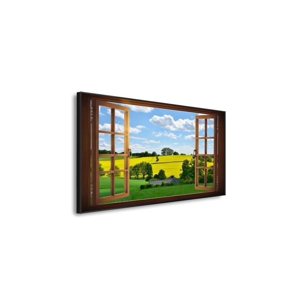 Vista 5