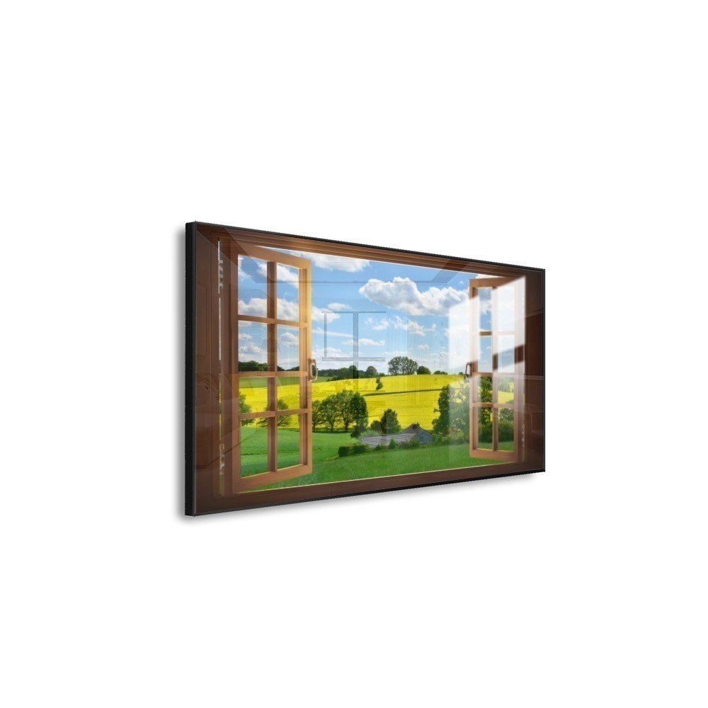 Vista 6