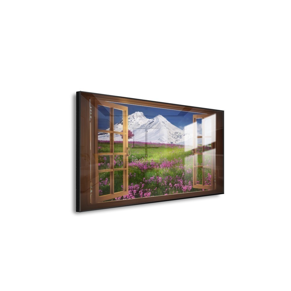 Vista 6