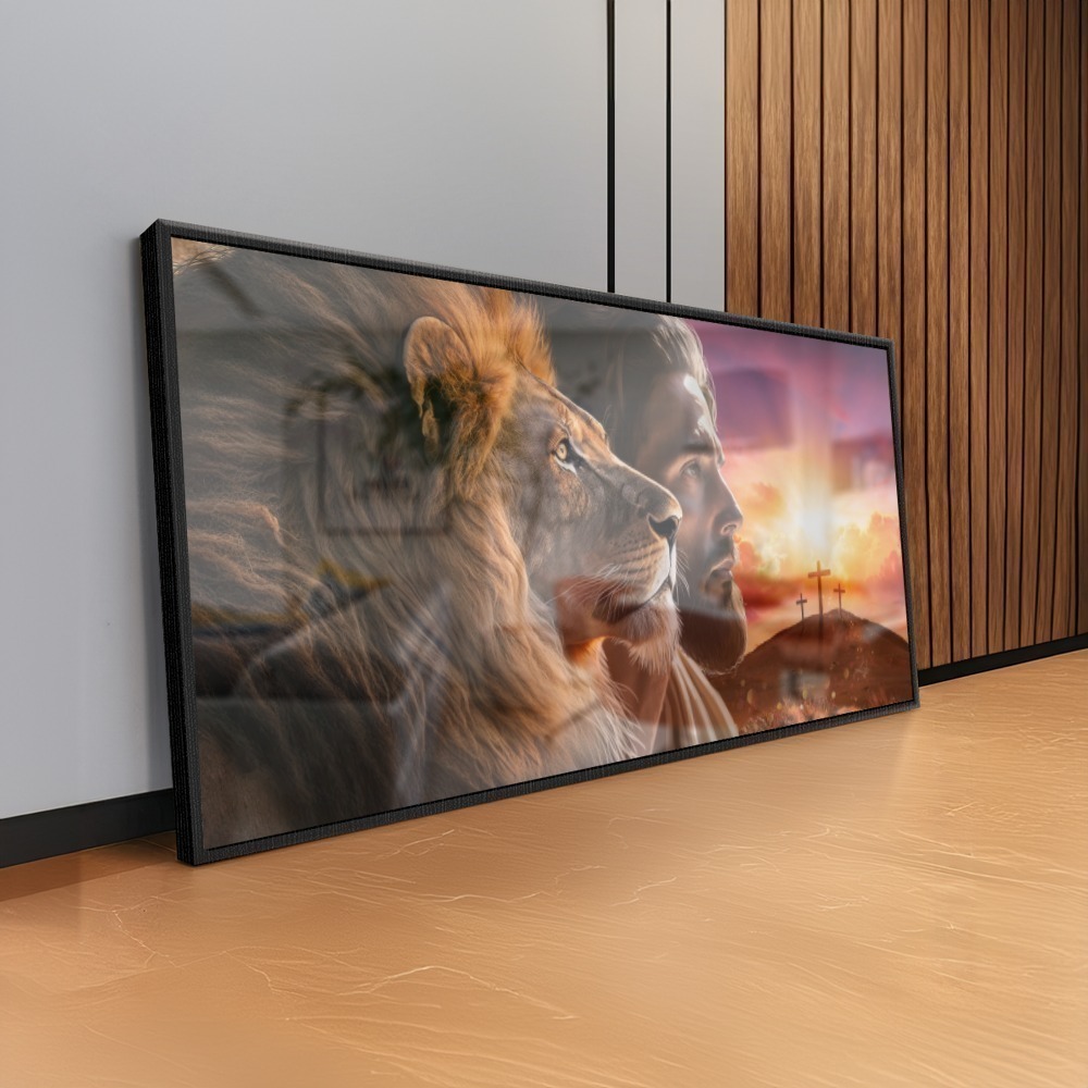 Vista 5