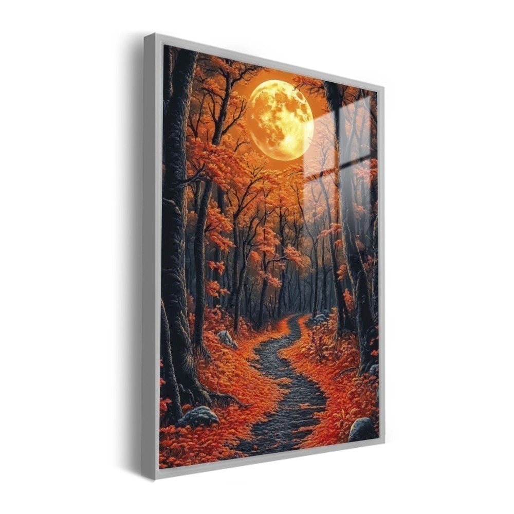 Vista 6