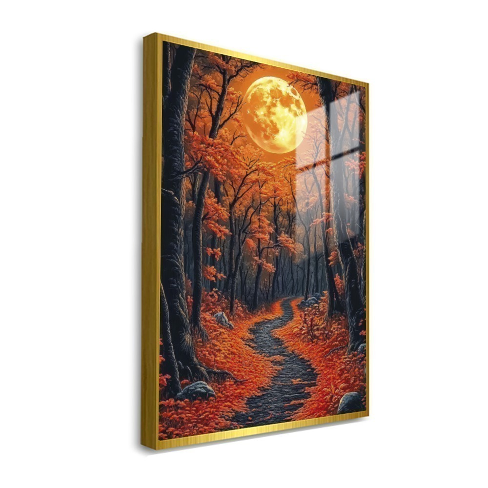 Vista 7