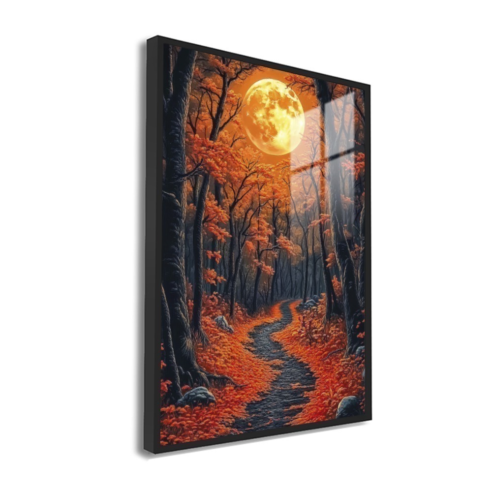 Vista 8